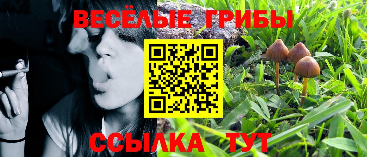 Галлюциногенные грибы Psilocybe  Псилоцибиновые грибы мицелий  наркота  Воркута  Вход с VPN 