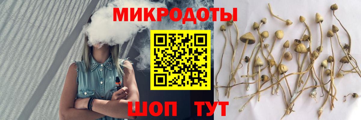 Псилоцибиновые грибы GOLDEN TEACHER Воркута